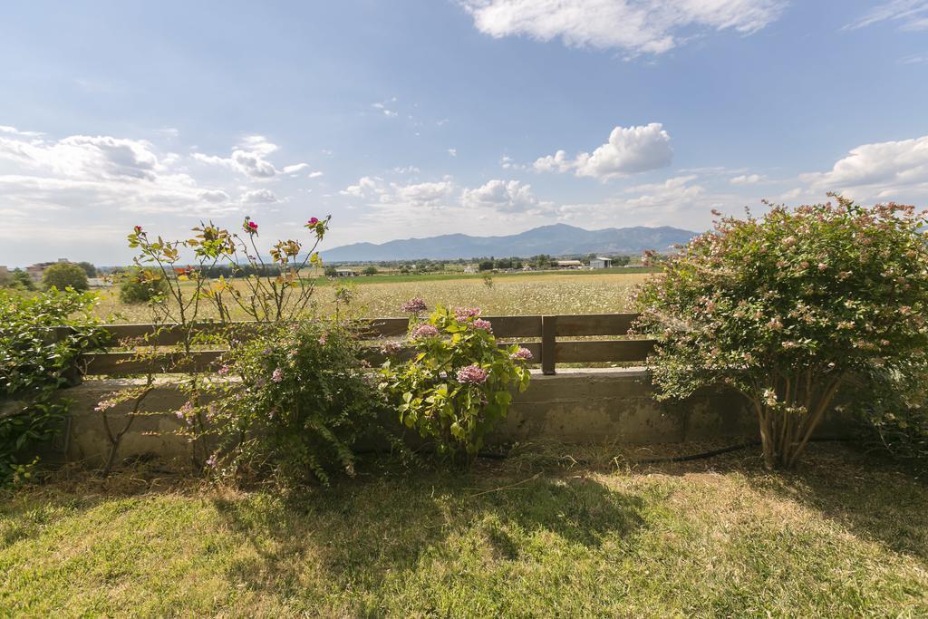 Casagreek Komotini Bed & Breakfast エクステリア 写真